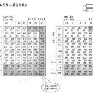 BMV大方系列马达