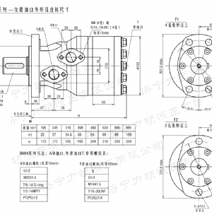 BMH系列交错油口江南app·(中国)官方网站马达